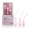Inspirate Wght Sil Kegel Train Kit - Varta Mayoreo Sex Shop