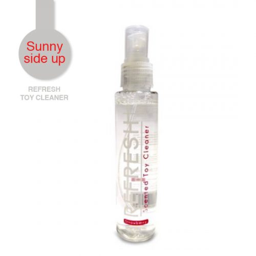 sunnyside_toycleaner