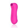 Vibrastic (Clit Suction)_2
